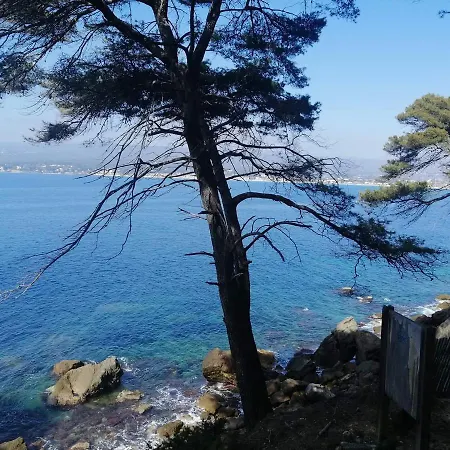 Clos Victor Spacieux 2 Pieces דירה טולון